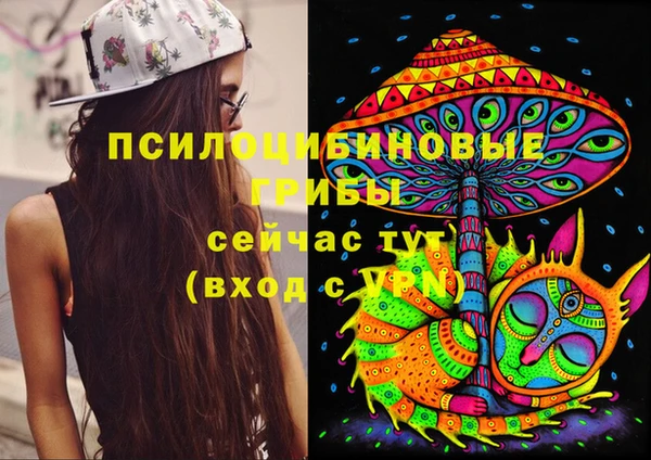соль курить ск Богданович
