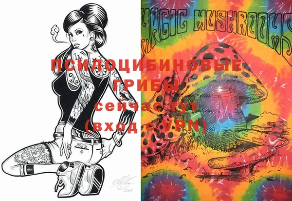 mdma Богородицк