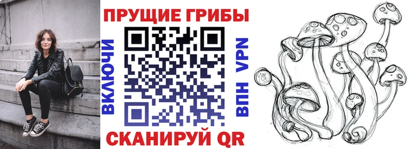 omg рабочий сайт  Полтавская  Галлюциногенные грибы MAGIC MUSHROOMS 
